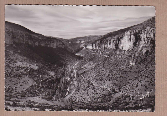 CARTE POSTALE CPSM NOIR & BLANC / VALLEE DE LA JONTE LOZERE