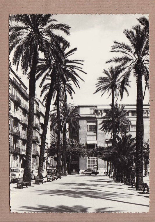 CPSM BLACK &amp; WHITE POSTCARD / TOULON PLACE DE LA LIBERTE 