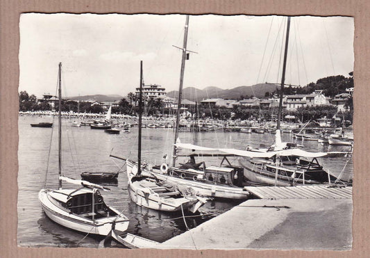 CARTE POSTALE CPSM NOIR & BLANC / SAINTE-MAXIME-SUR-MER LE PORT VAR (1962)