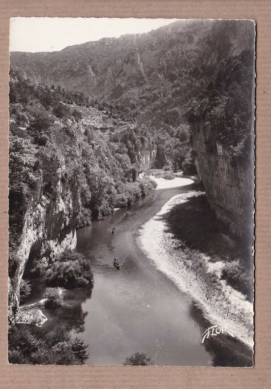 CPSM BLACK &amp; WHITE POSTCARD / THE TARN GORGES CONVOY OF BOATS 