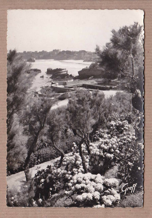 CPSM BLACK &amp; WHITE POSTCARD / BIARRITZ THE FISHERMEN'S PORT HYDRANGEAS 