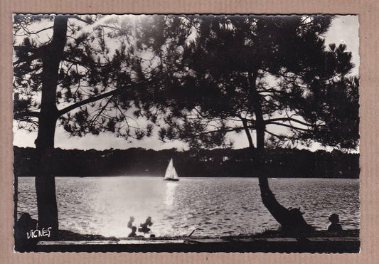 CARTE POSTALE CPSM NOIR & BLANC / VISAGE DES LANDES LE SOIR SUR UN LAC