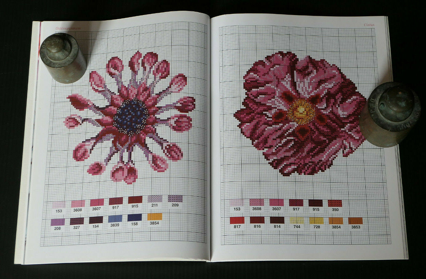 POINT DE CROIX / JARDIN / FLEURS / MANGO PRATIQUE / BRODERIE COUTURE MODELES
