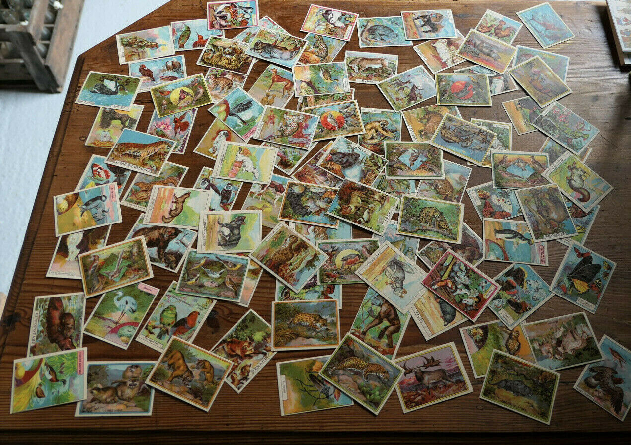ANCIENNE IMAGE D'ECOLE SCOLAIRE LIBRAIRIE DELAGRAVE ANIMAUX LOT BOITE 96 CHROMOS