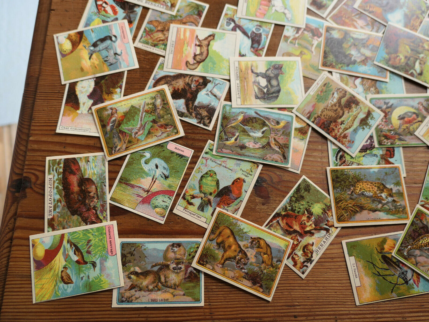 ANCIENNE IMAGE D'ECOLE SCOLAIRE LIBRAIRIE DELAGRAVE ANIMAUX LOT BOITE 96 CHROMOS