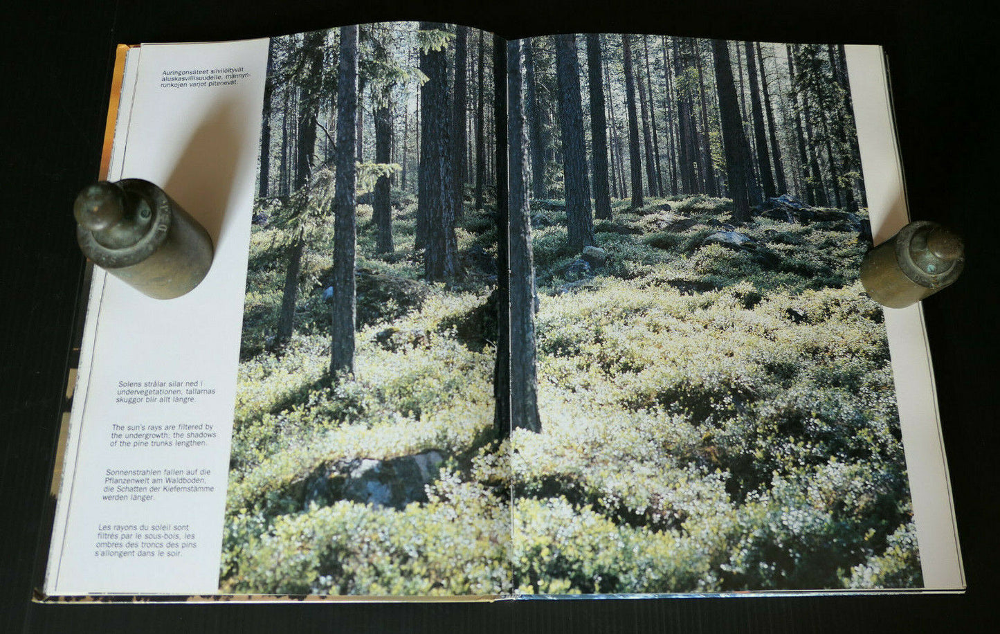 SUOMI POHJOLAN HELMI / VOYAGE FINLANDE PHOTOS DINO SASSI