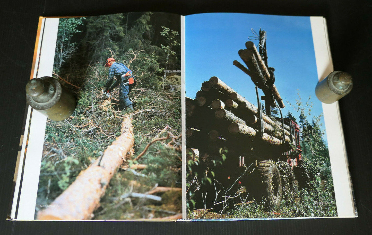 SUOMI POHJOLAN HELMI / VOYAGE FINLANDE PHOTOS DINO SASSI