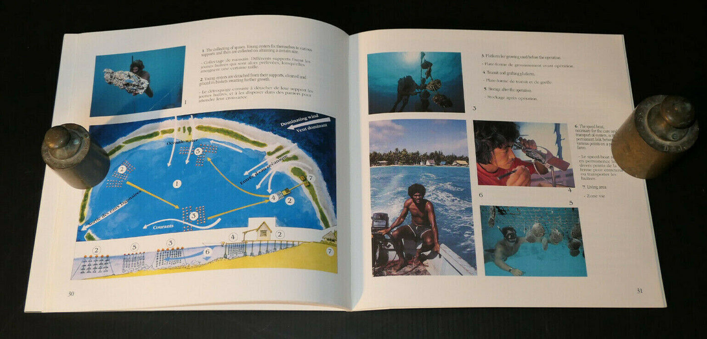 PERLES DE TAHITI / ARCHITECTURE TROPICALE DE TAHITI / COLLECTION SURVOL 1991/92