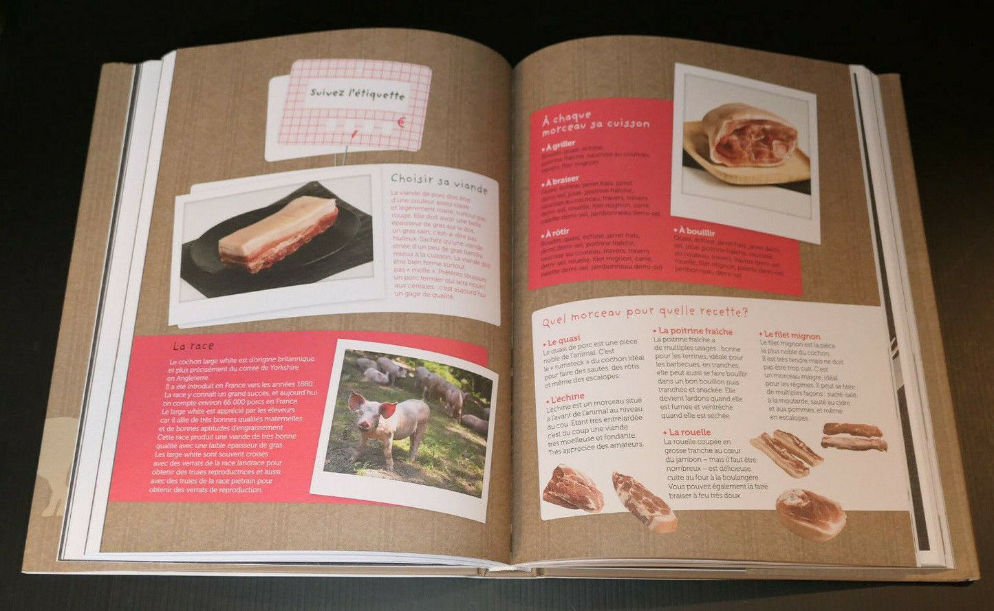 MORCEAUX CHOISIS / HUGO DESNOYER / RECETTES BOUCHERIE VIANDE ELEVAGE PHOTOS 2013