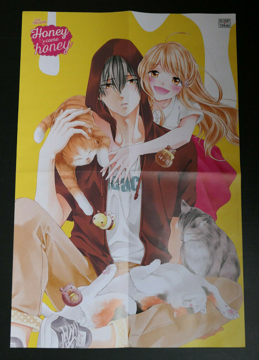 POSTER PROMO MANGA LOVE &amp; RETRY / HONEY COME HONEY / 2015 