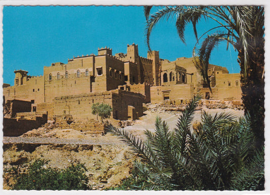 COLOR POSTCARD CPSM PICTURESQUE MOROCCO OULAD ATMANE DRAA VALLEY 
