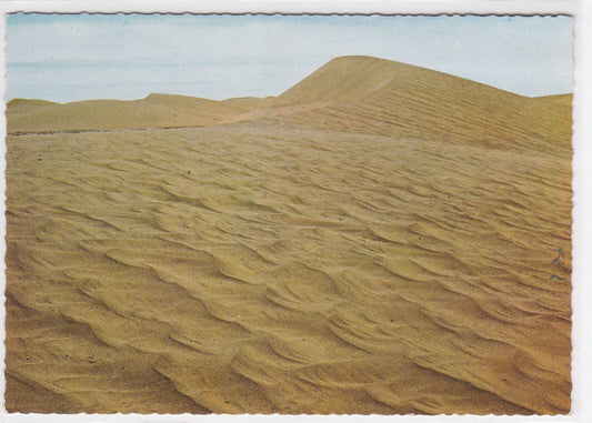 CARTE POSTALE COULEUR CPSM LE MAROC PITTORESQUE DUNES A M'HAMID