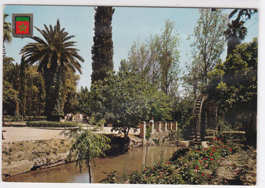 COLOR POSTCARD CPSM MOROCCO FES BOUJELOUD GARDEN 
