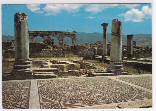 COLOR POSTCARD CPSM MOROCCO VOLUBILIS ROMAN RUINS 