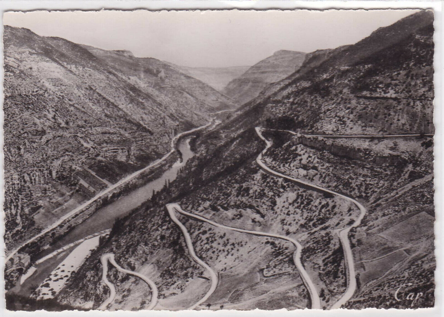 CARTE POSTALE NOIR & BLANC CPSM LES GORGES DU TARN LA MALENE ROUTE DU CAUSSE
