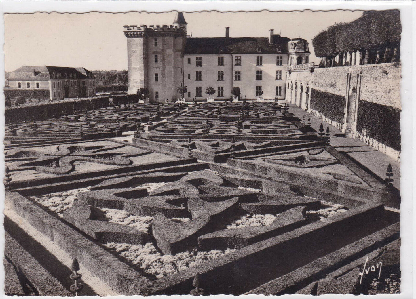 BLACK &amp; WHITE POSTCARD CPSM VILLANDRY LE CHATEAU THE ORNAMENTAL GARDENS 