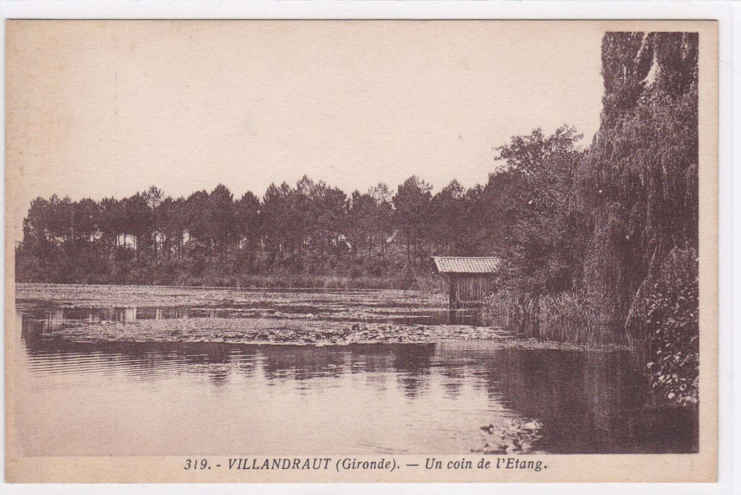 OLD BLACK &amp; WHITE POSTCARD CPA VILLANDRAUT A CORNER OF THE POND GIRONDE 