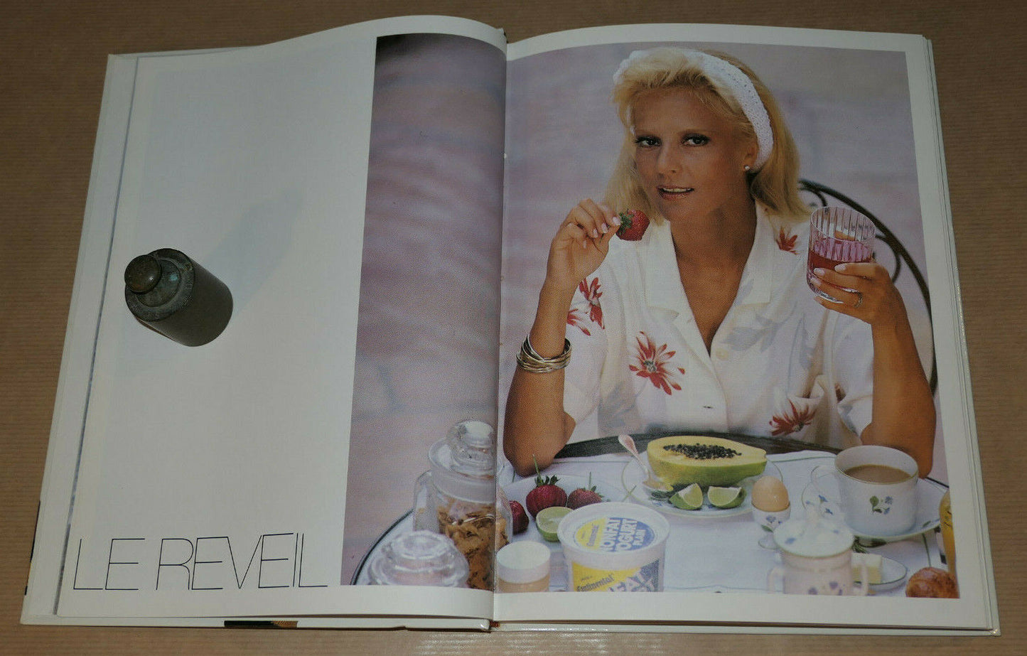 SYLVIE VARTAN / BEAUTY BOOK / FORME REGIME MAQUILLAGE CHEVEUX SEDUCTION / 1985