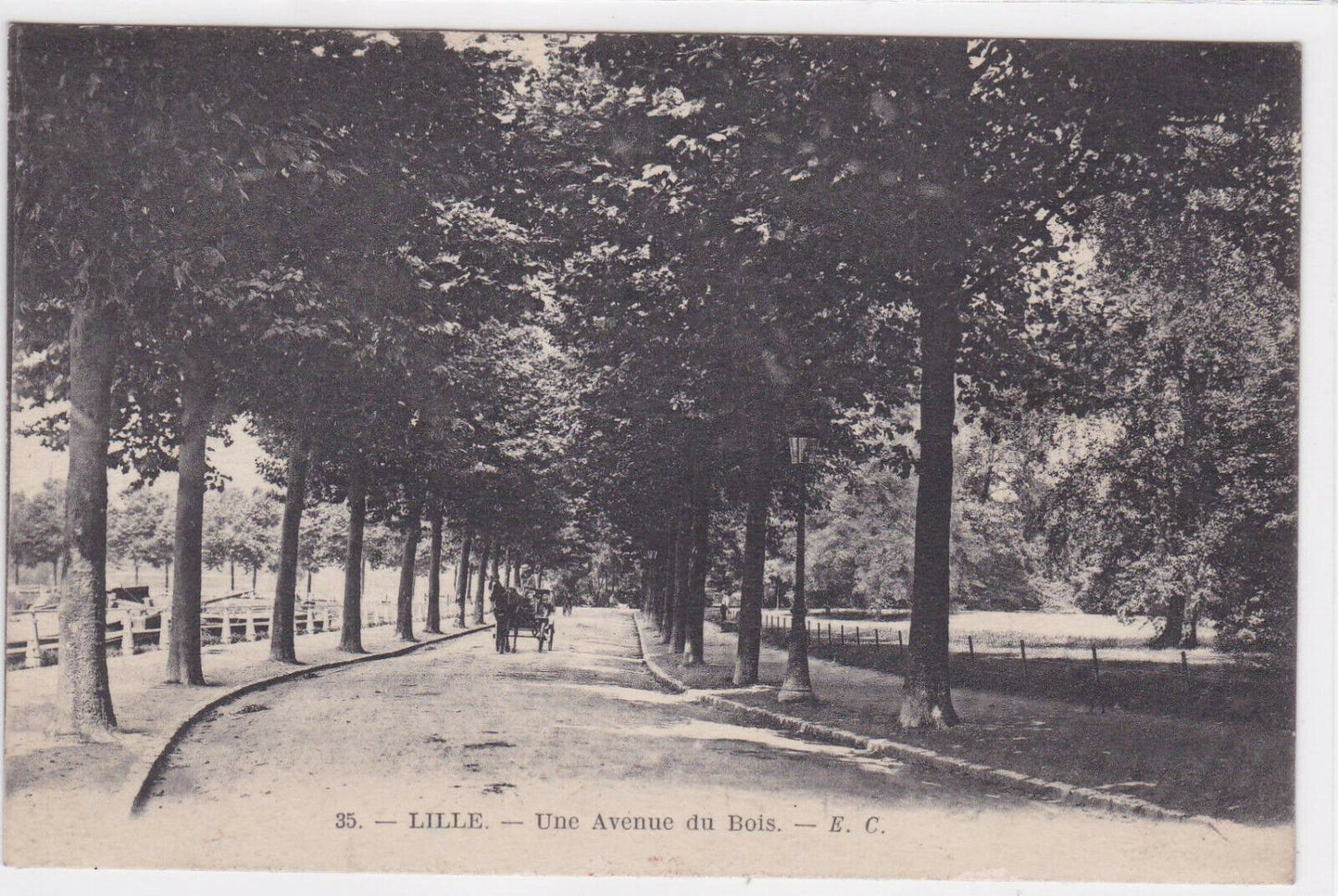 OLD BLACK &amp; WHITE POSTCARD LILLE UNE AVENUE DU BOIS