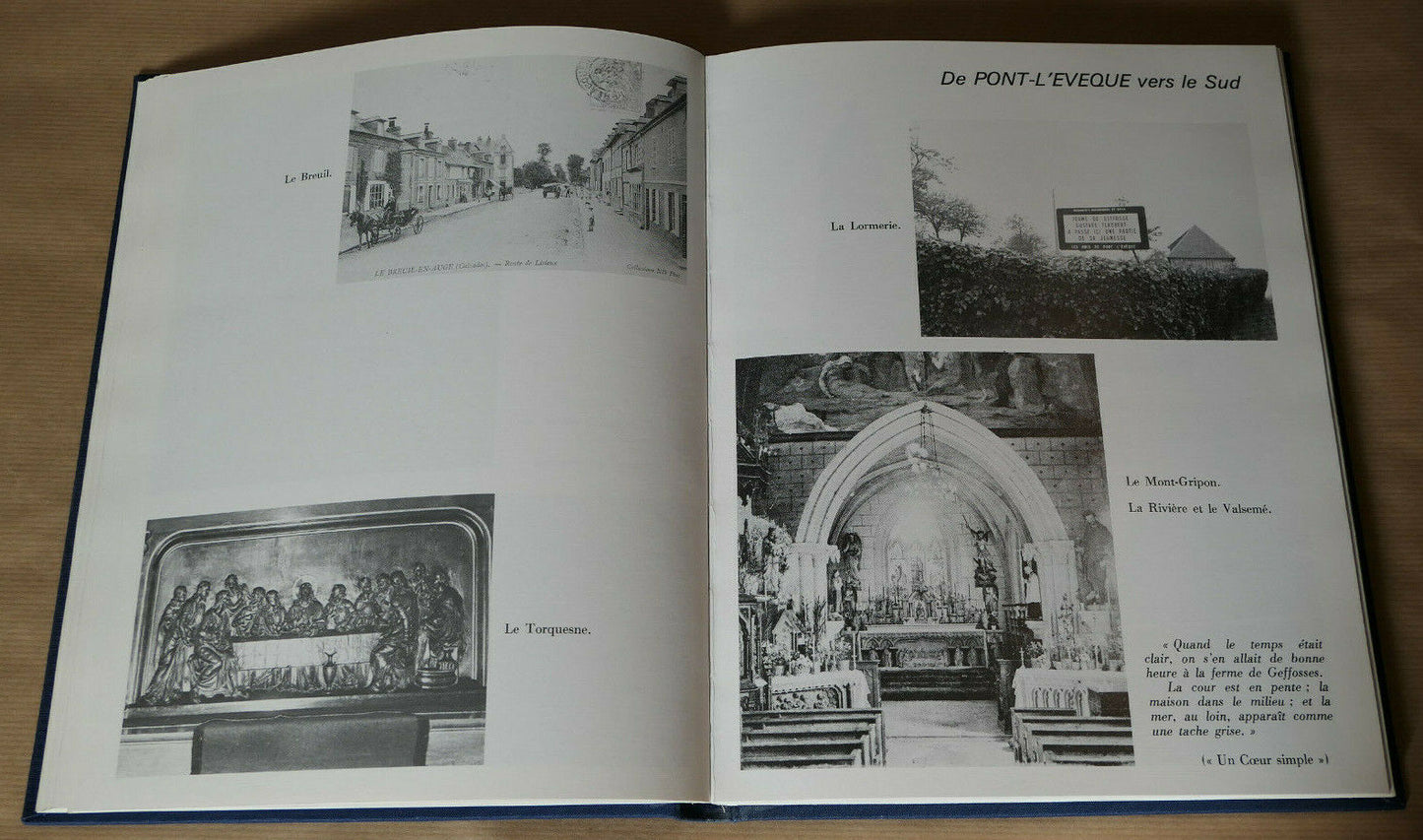 PROMENADES EN BASSE-NORMANDIE AVEC UN GUIDE NOMME FLAUBERT / GILLES HENRY 1979