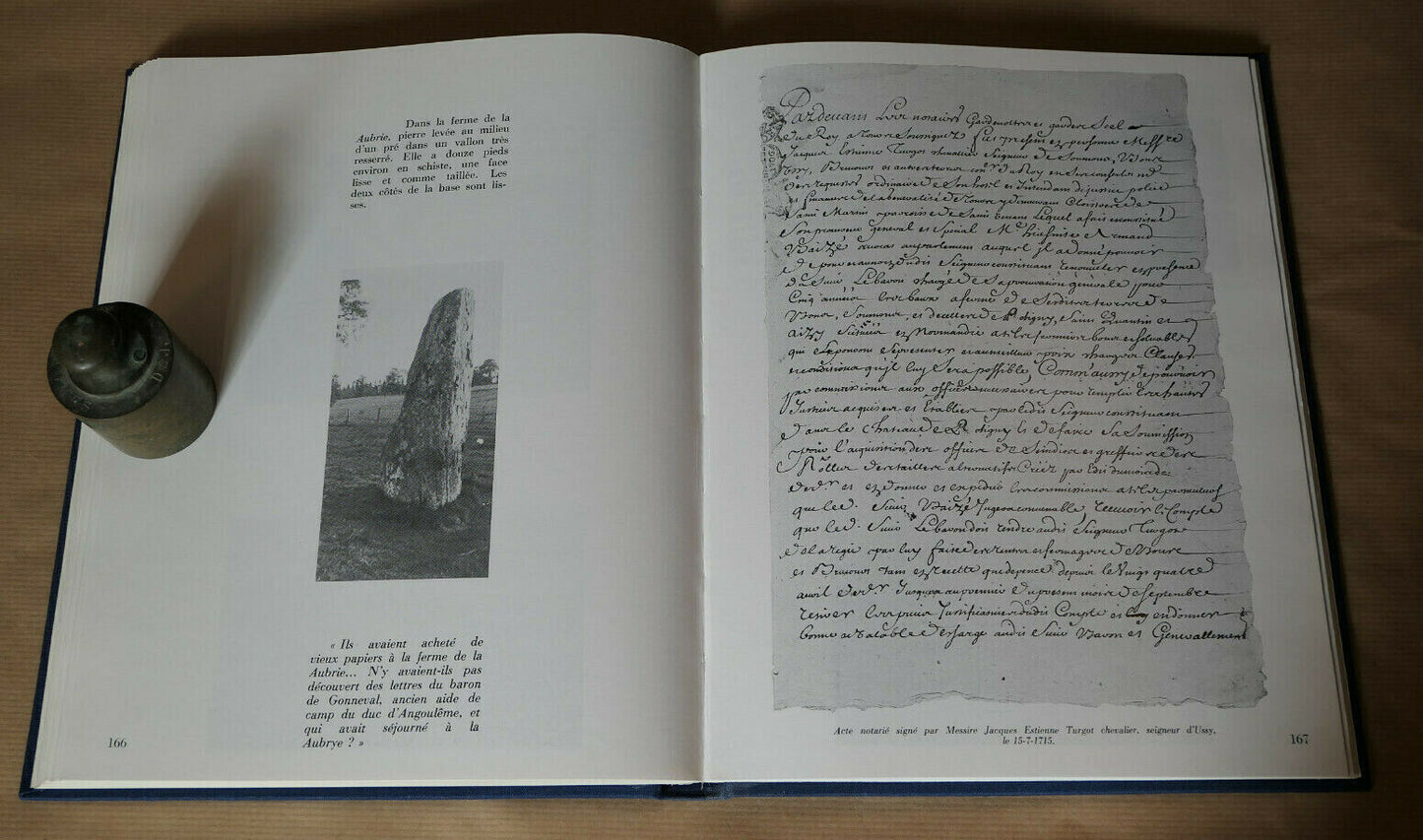 PROMENADES EN BASSE-NORMANDIE AVEC UN GUIDE NOMME FLAUBERT / GILLES HENRY 1979