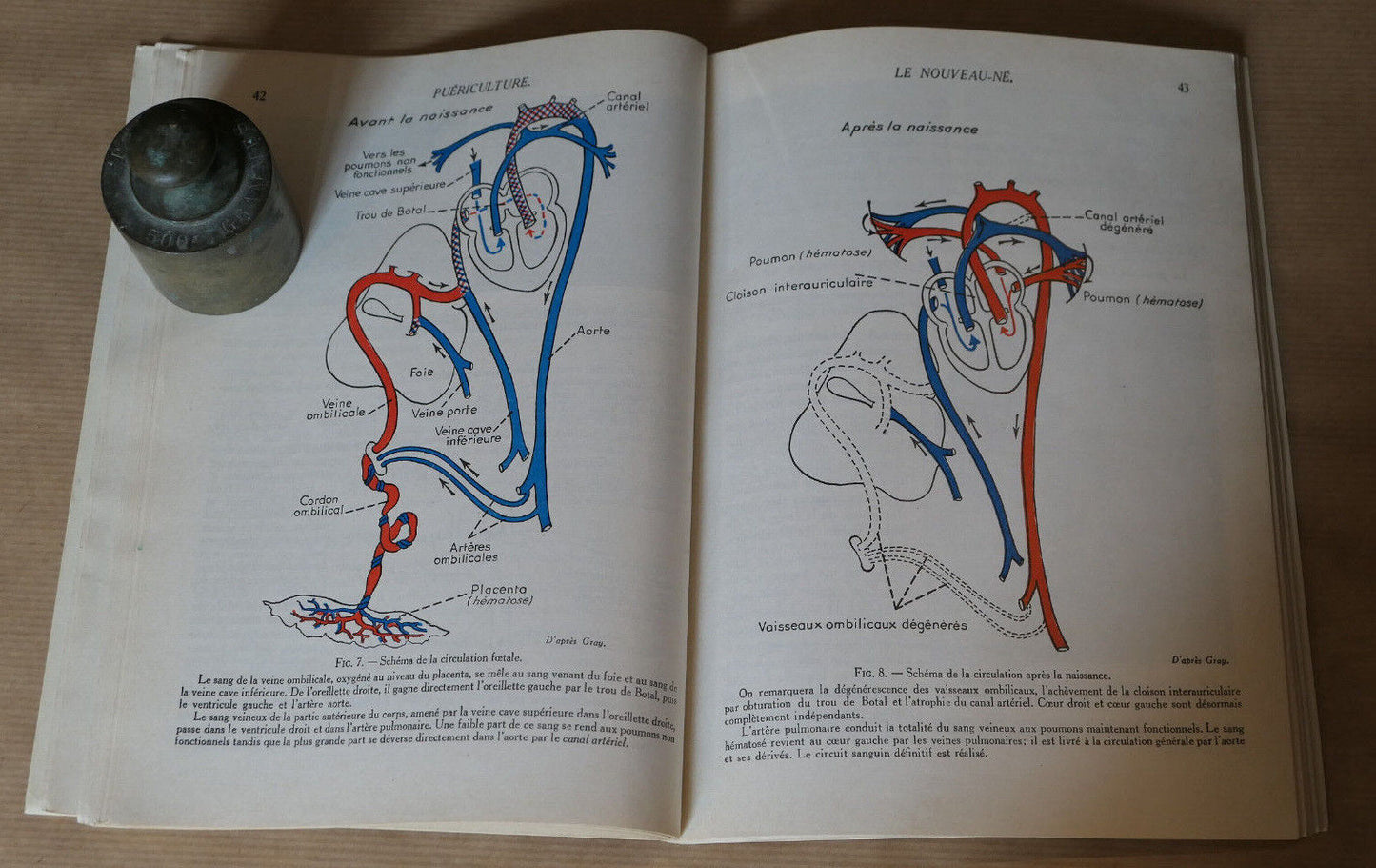 PHYSIOLOGIE DE LA REPRODUCTION ET PUERICULTURE / HACHETTE 1965 / SANTE MATERNITE
