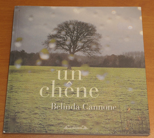 UN CHENE / BELINDA CANNONE / LE VISTEMBOIR 2016