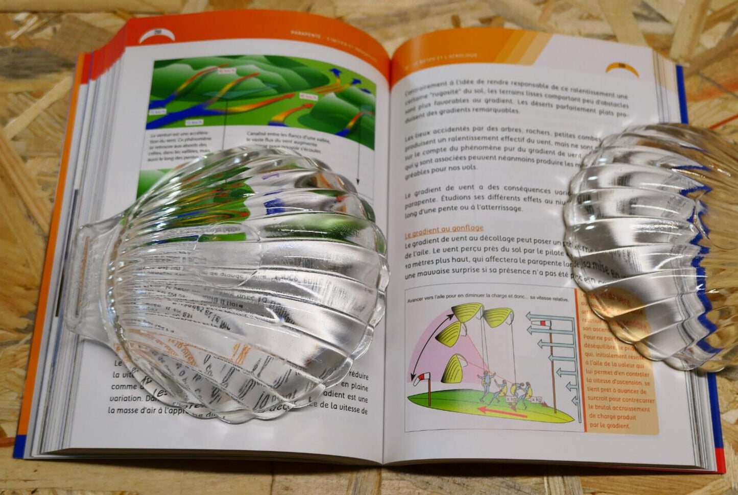 PARAGLIDING GETTING STARTED AND PROGRESSING / NEW 2013 EDITION TECHNICAL SPORTS MANUAL 