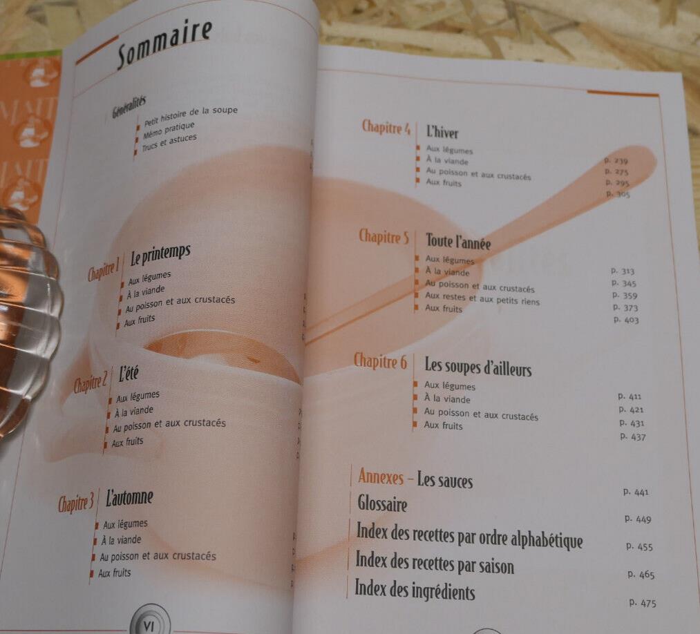 LES SOUPES DE MAITE 365 RECETTES POUR QUATRE SAISONS / CUISINE GASTRONOMIE 2005