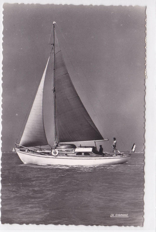 POSTCARD CPSM FORT-MAHON SOMME REGATTAS SAILING BOAT (1954) 