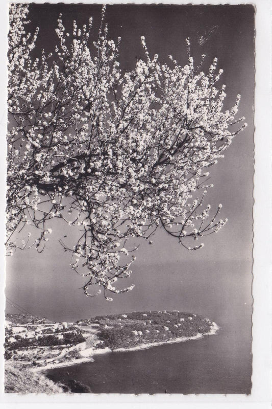 CPSM POSTCARD WITH THE BREATH OF SPRING AWAKEN! FRENCH RIVIERA