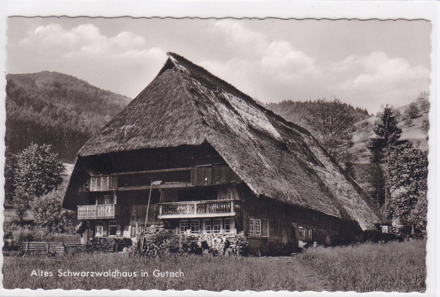 CARTE POSTALE CPSM ALTES SCHWARZWALDHAUS IN GUTACH