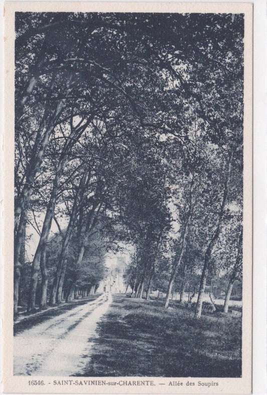 OLD POSTCARD CPA SAINT-SAVINIEN-SUR-CHARENTE ALLEE DES SOUPIRS 