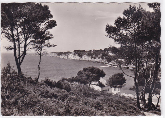 POSTCARD CPSM SANARY-SUR-MER PORT-ISSOL CALANQUES VAR SEA BEACH