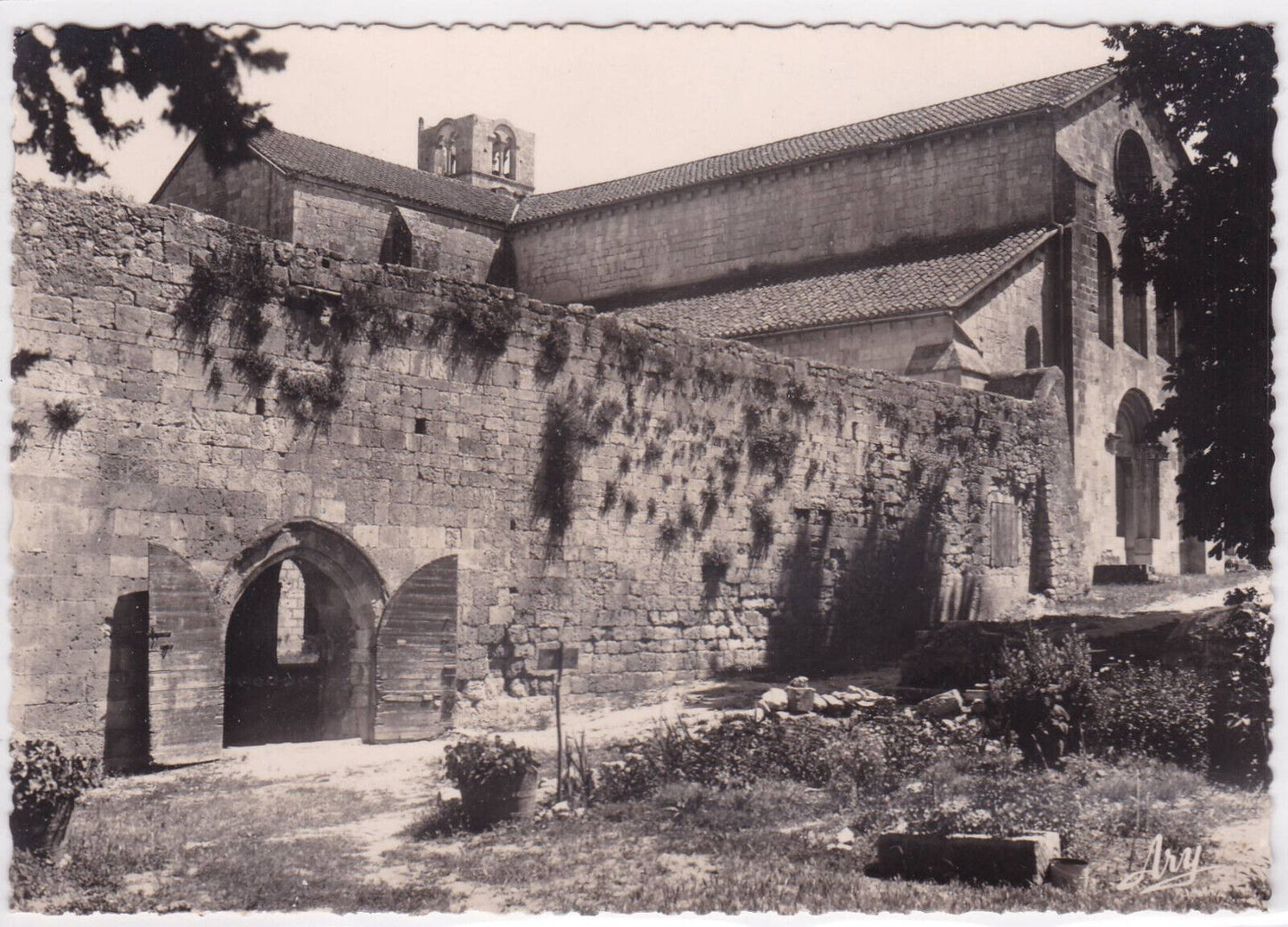 POSTCARD CPSM SILVACANNE ABBEY WEST FACING RELIGION 