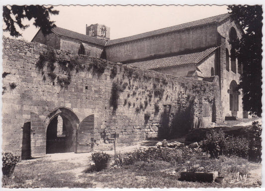POSTCARD CPSM SILVACANNE ABBEY WEST FACING RELIGION 