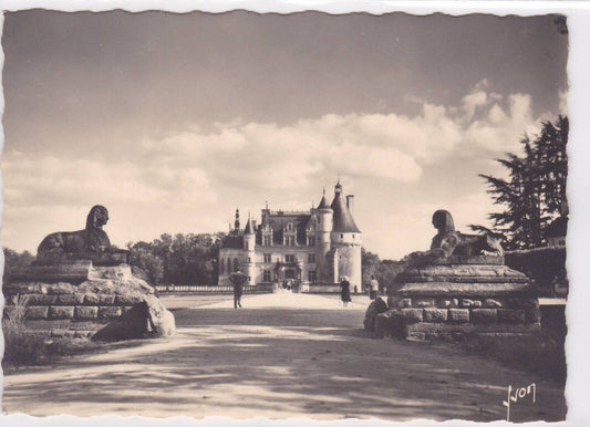 POSTCARD CPSM CHENONCEAUX ENTRANCE TO THE CASTLE 
