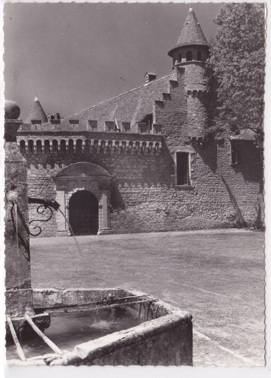 POSTCARD CPSM CHATEAU DE VIRIEU ISERE THE COURTYARD OF HONOUR 