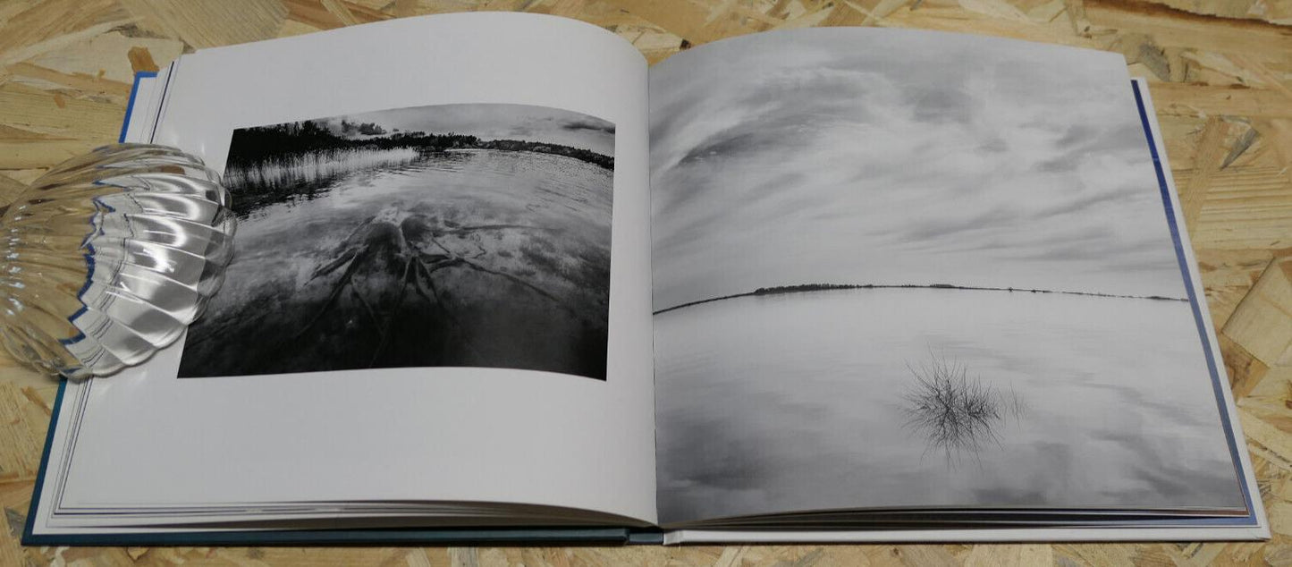 LAC DU DER HISTOIRES D'ARBRES / PASCAL BOURGUIGNON / MARNE PHOTOS VOYAGE 2016