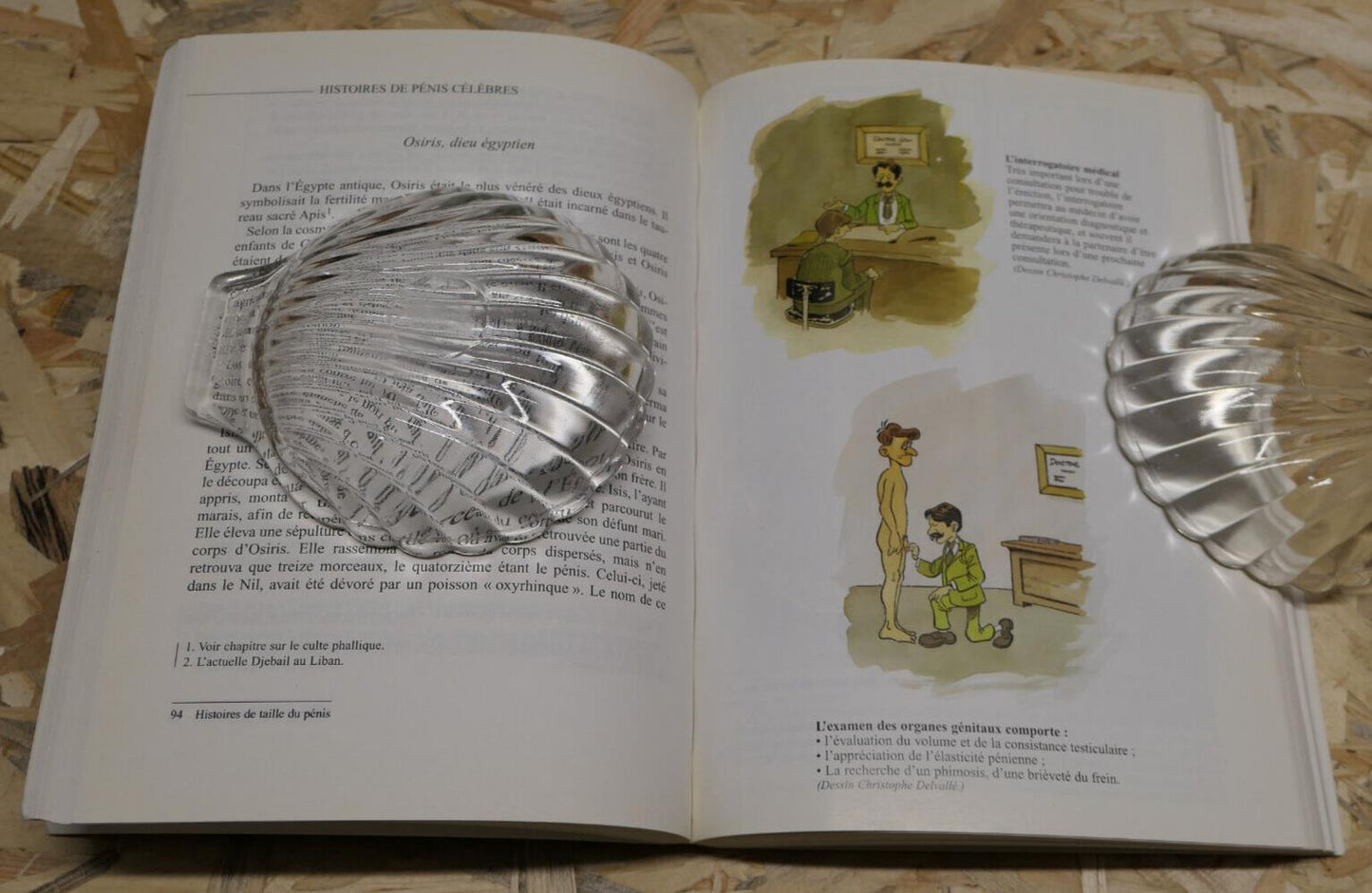 HISTOIRES DU PENIS / ETHNOLOGIE MYTHOLOGIE MEDECINE ART PSYCHOLOGIE / 2000