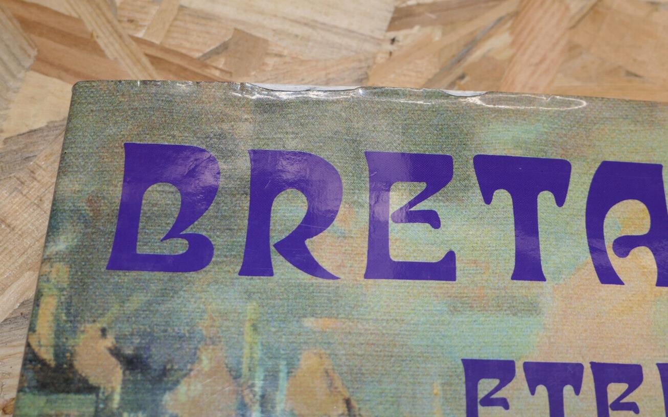BRETAGNE ETERNELLE AVEC EMILE SIMON / ART PEINTURE
