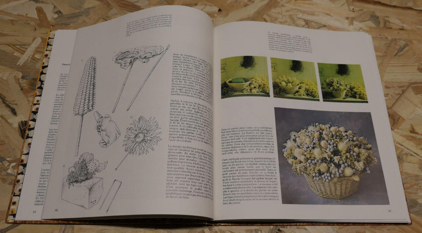PLANTES ET FLEURS SECHEES / TOON LEEMANS / DESSAIN ET TOLRA 1979 / NATURE PHOTOS