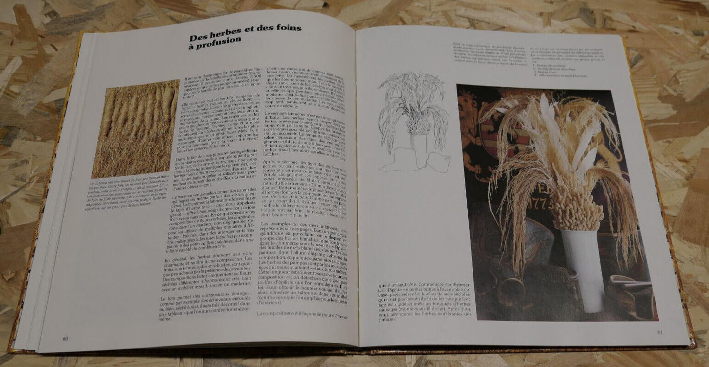 PLANTES ET FLEURS SECHEES / TOON LEEMANS / DESSAIN ET TOLRA 1979 / NATURE PHOTOS