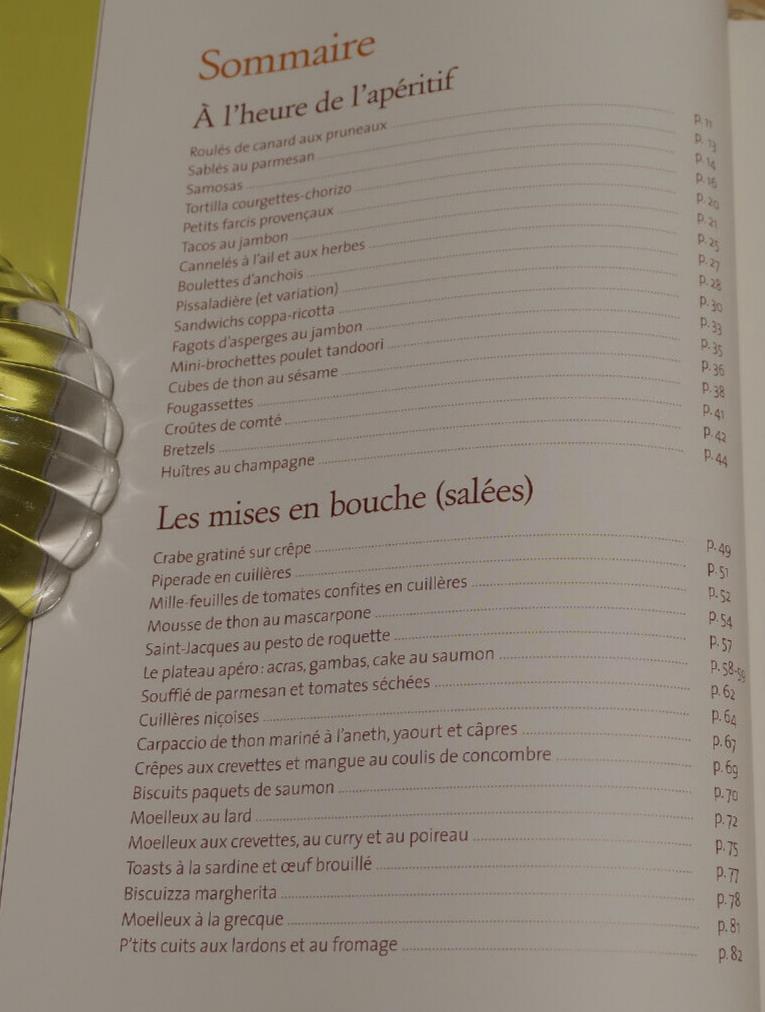 CUILLERES VERRINES PETITES BOUCHEES / 66 RECETTES SALEES SUCREES GASTRONOMIE
