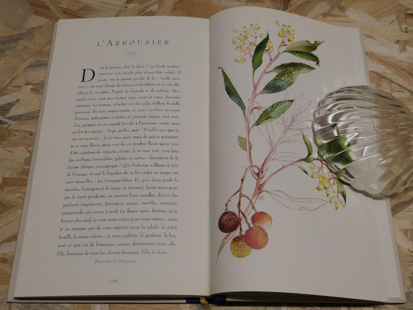 L'HERBIER DE COLETTE / MARTHE SEGUIN-FONTES / FLEURS PLANTES NATURE ART / 1997