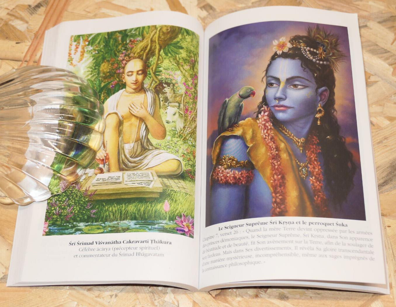 SRIMAD BHAGAVATAM / DEUXIEME CHANT / DE SRILA VYASADEVA / CONGREGATION OMV 2019