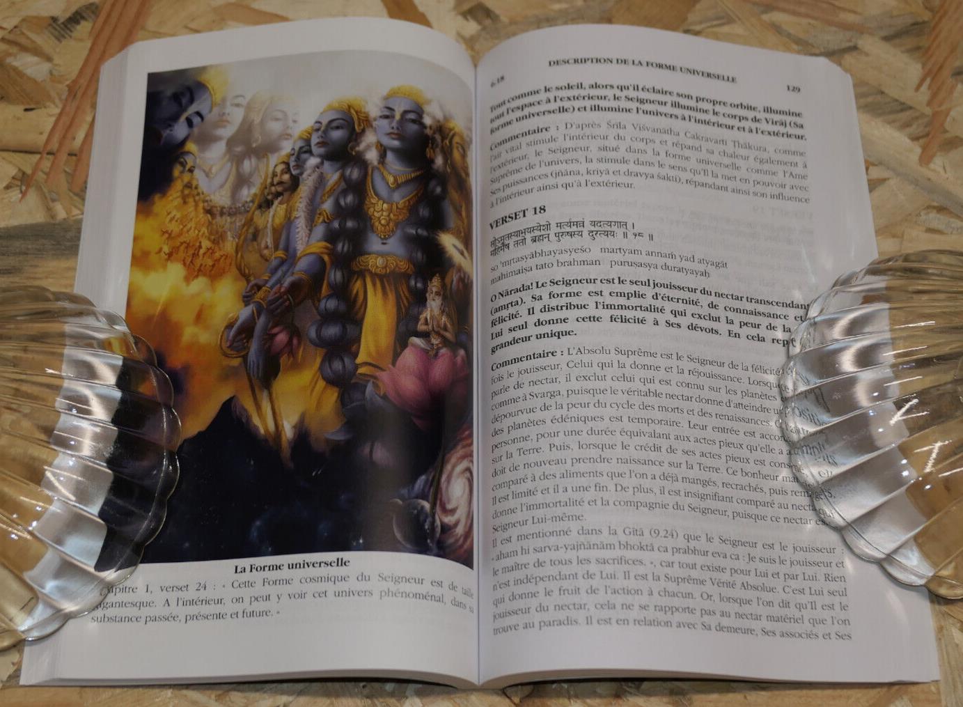 SRIMAD BHAGAVATAM / DEUXIEME CHANT / DE SRILA VYASADEVA / CONGREGATION OMV 2019