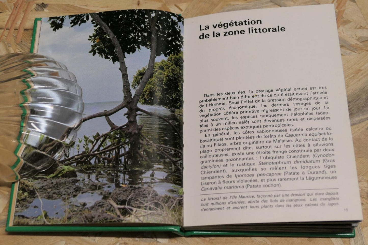 FLEURS ET PLANTES DE LA REUNION ET DE L'ILE MAURICE / 150 ESPECES PHOTOS NATURE