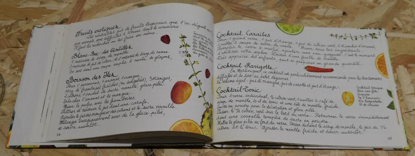 PLAISIRS SANS ALCOOL APERITIFS COCKTAILS RAFRAICHISSEMENTS BOISSONS EDISUD 2009