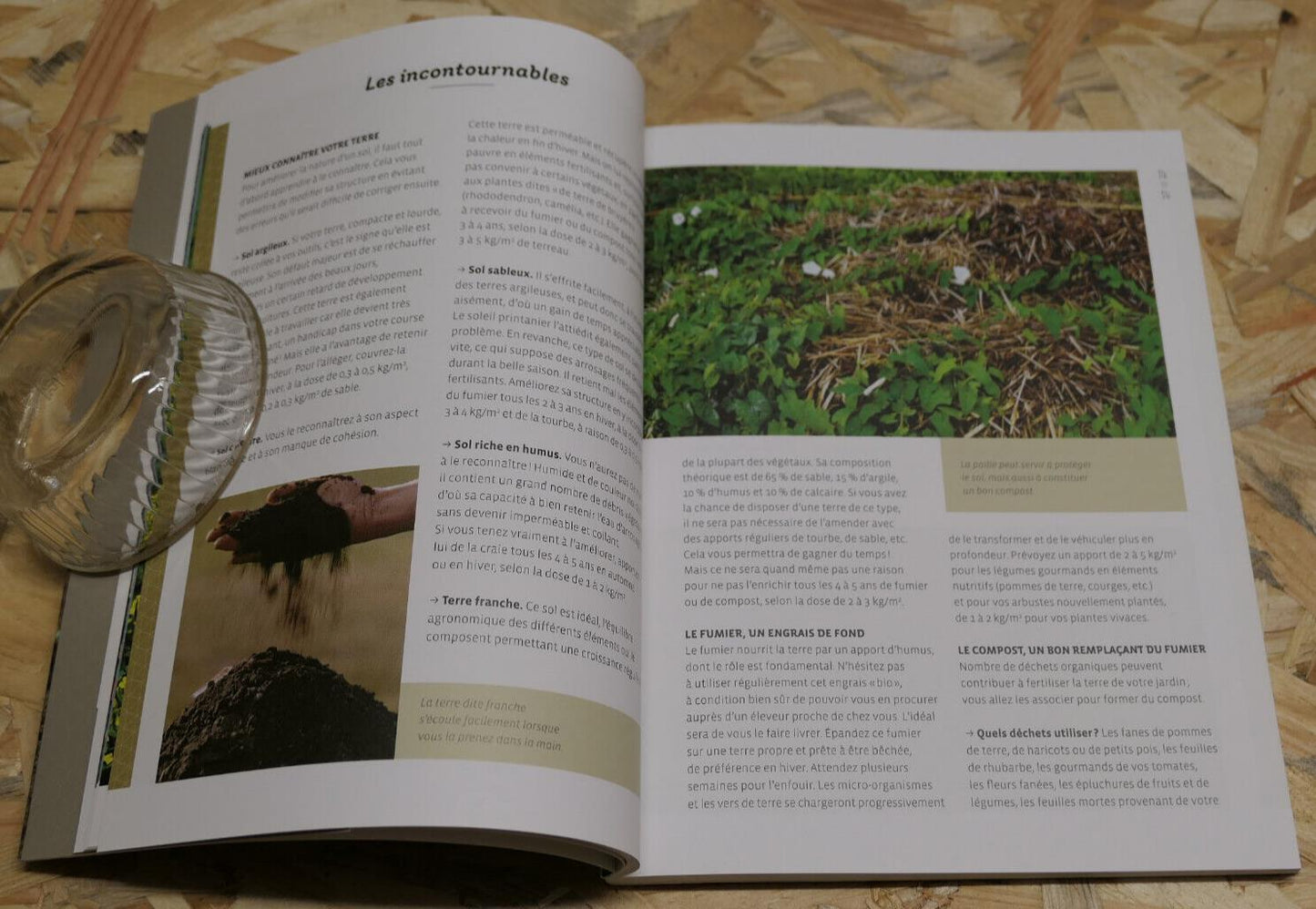 UN JARDIN SANS PEINE / MICHEL CARON / RUSTICA EDITIONS TRUCS ASTUCES POTAGER